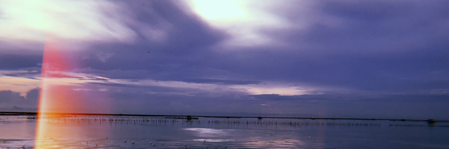 nnupnp's profile banner image