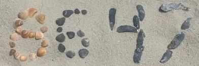 O'Shea All Day 🏈💪 banner