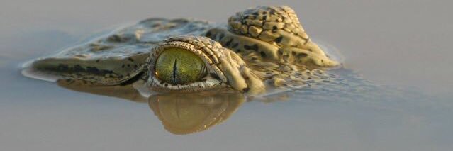 Mr__Williams_'s profile banner image