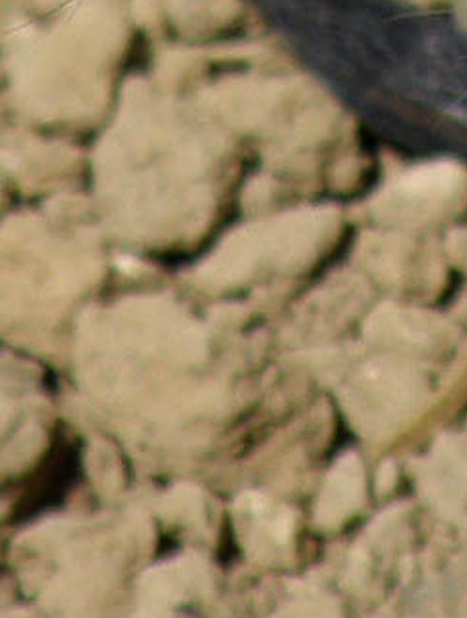 cinapomytr's profile banner image