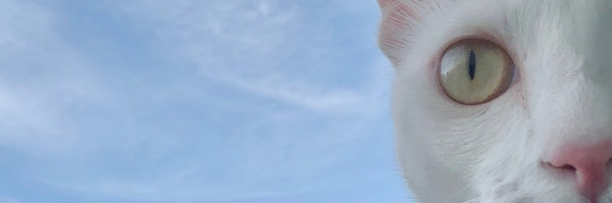 BeauDezu banner
