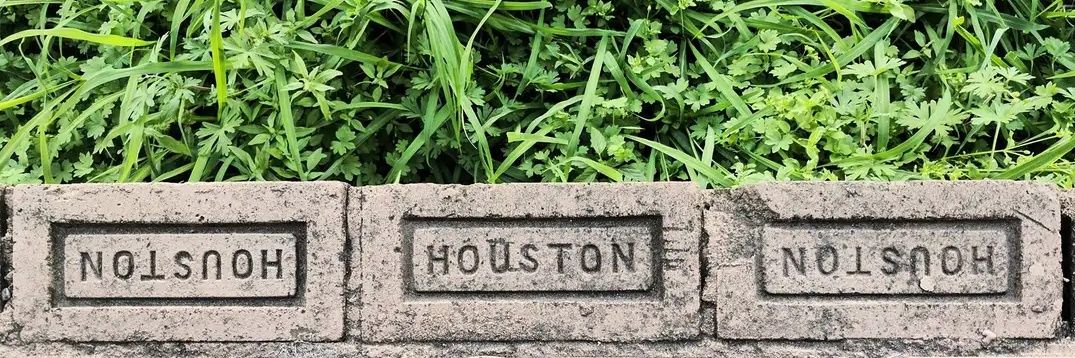 adam j williams banner