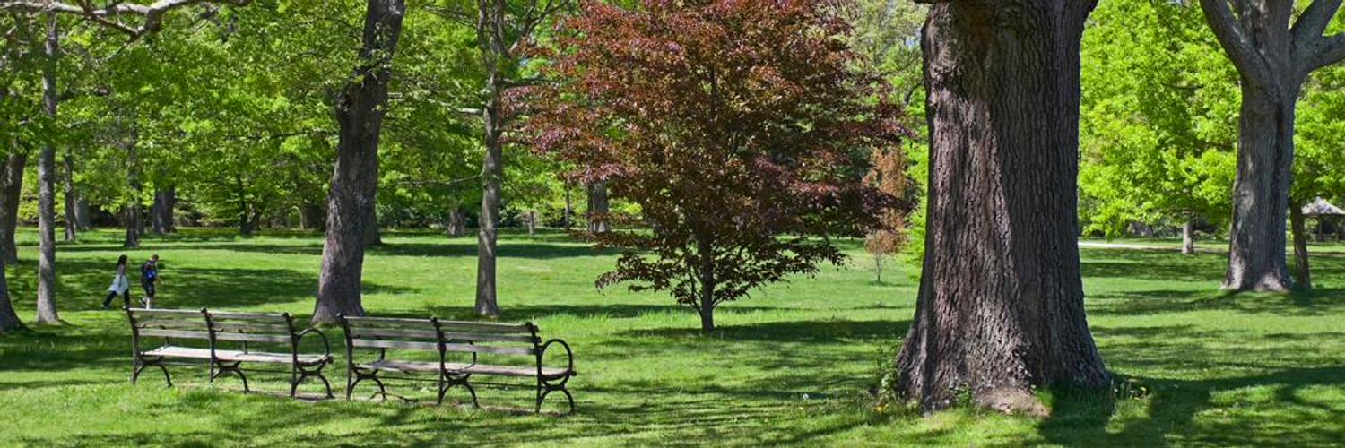 The Park Catalog (TheParkCatalog) Twitter