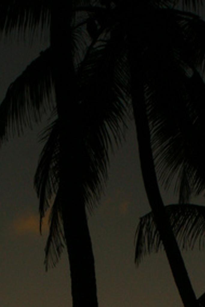ifentatiofeli's profile banner image