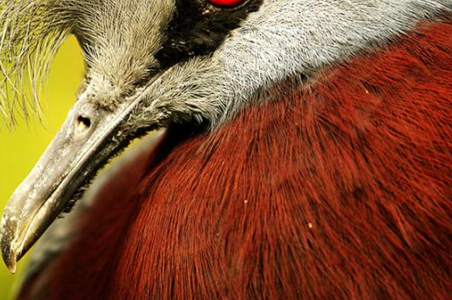 nterstreah's profile banner image