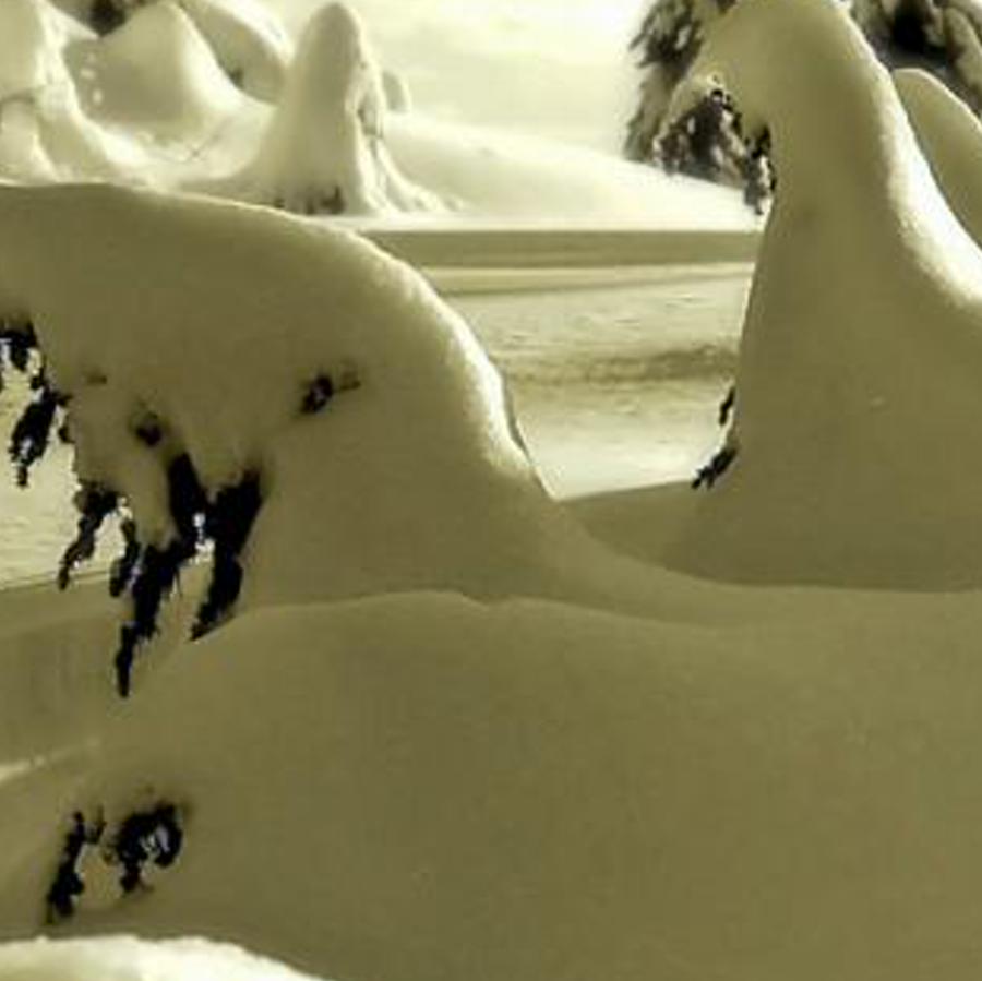 olpomaly's profile banner image
