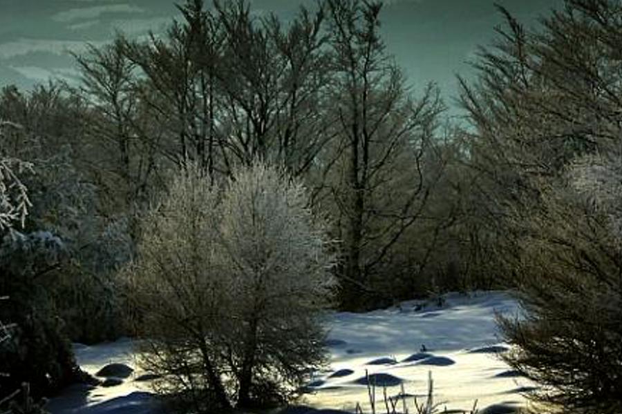 allesead's profile banner image