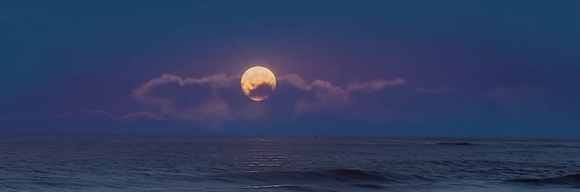 kodimcgovern's profile banner image