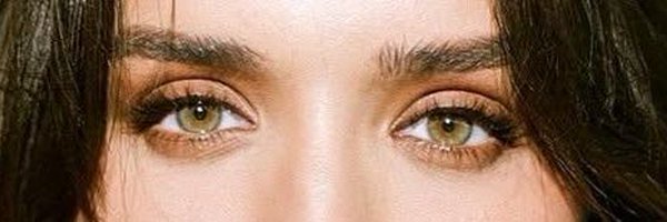 tweetaraii Profile Banner