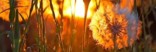 Tamar_Aprilia's profile banner image