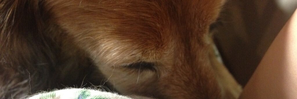yzkichi33's profile banner image