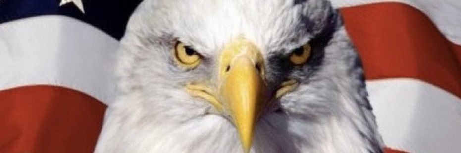 ATVentureCapital banner