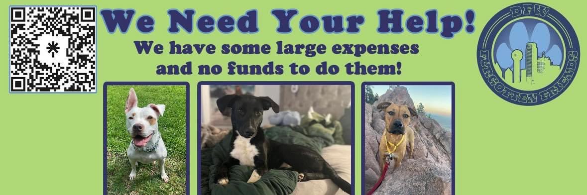 🐶Putts FORE! Mutts🌵 banner