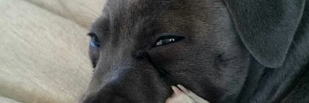 ryanbaker95's profile banner image