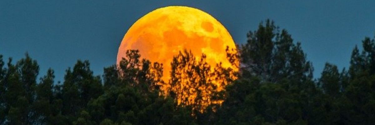 Tweettiva's profile banner image