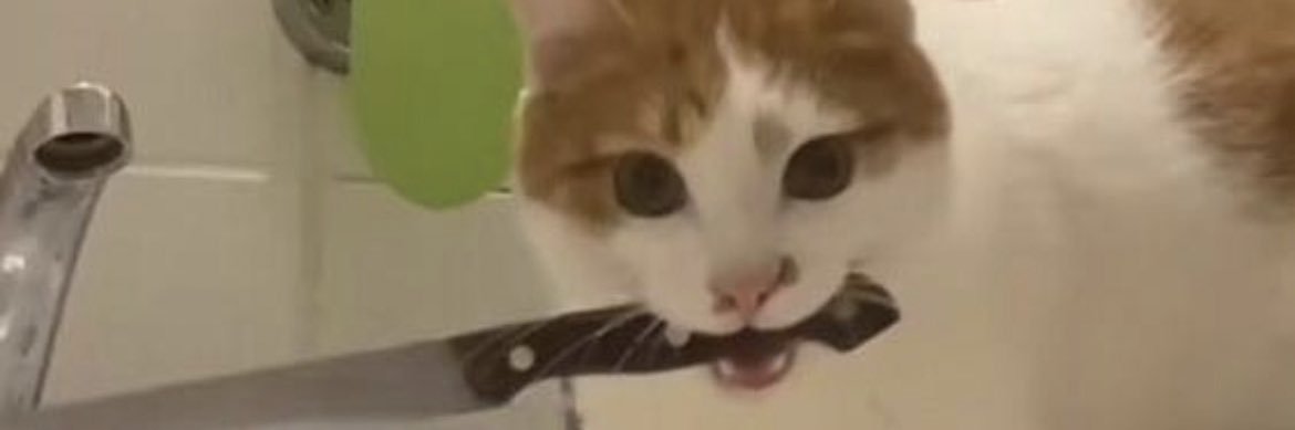 ___amanduhh___'s profile banner image