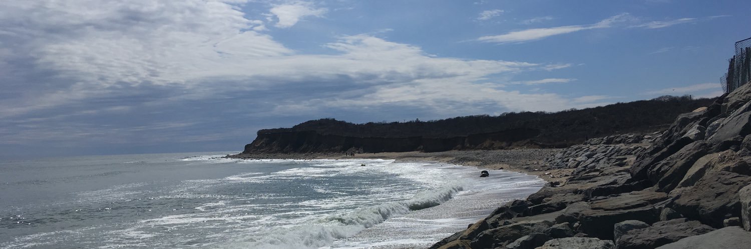 maura lee bee 🌈 banner