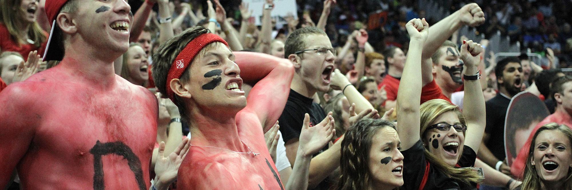 Drury Fanthers 🐾📣 banner