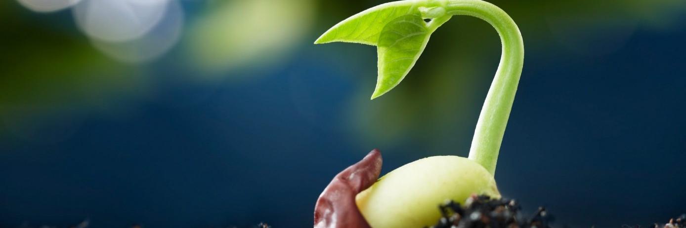 JustGrowthFund's profile banner image