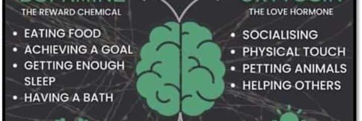 ibryaes's profile banner image