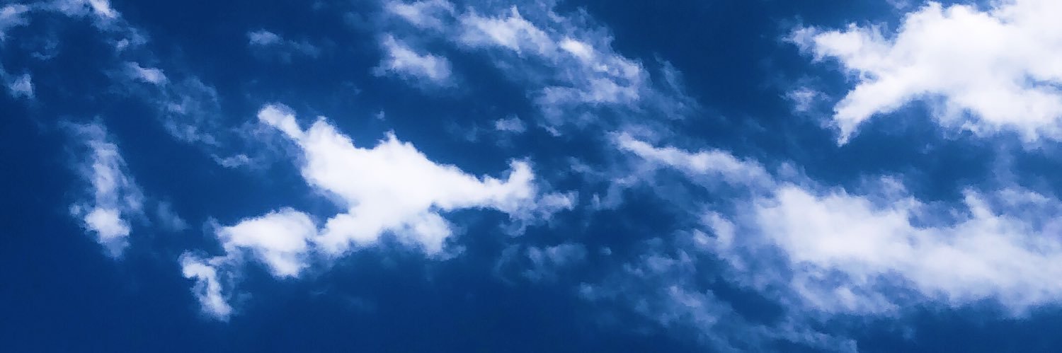 annymaniacs's profile banner image