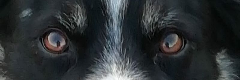 JonathonLyttle's profile banner image