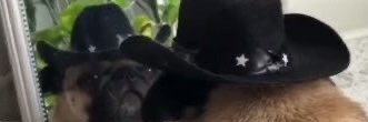 kareem_hc's profile banner image