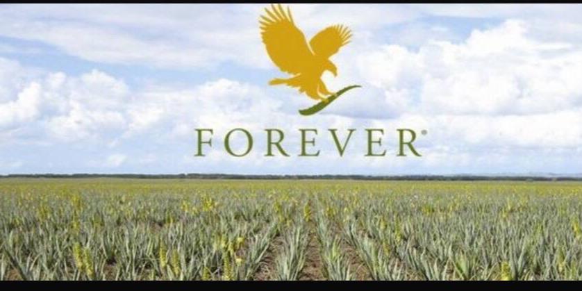 Aranmoreforever's profile banner image