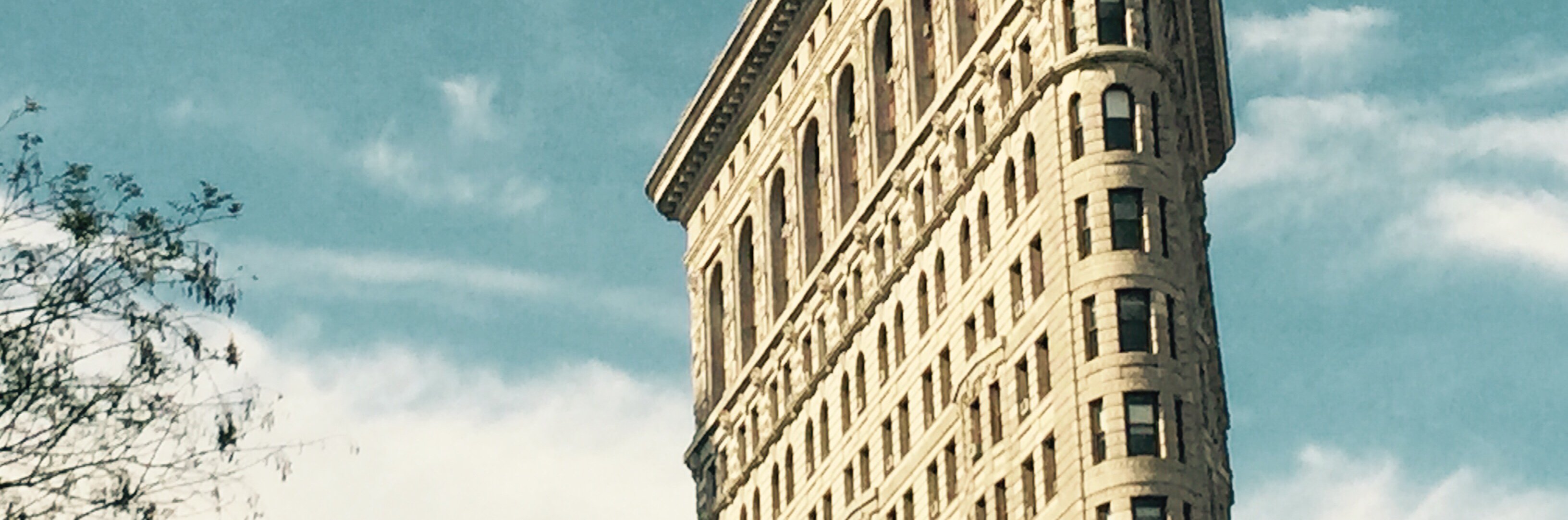 Brian DiSabatino banner