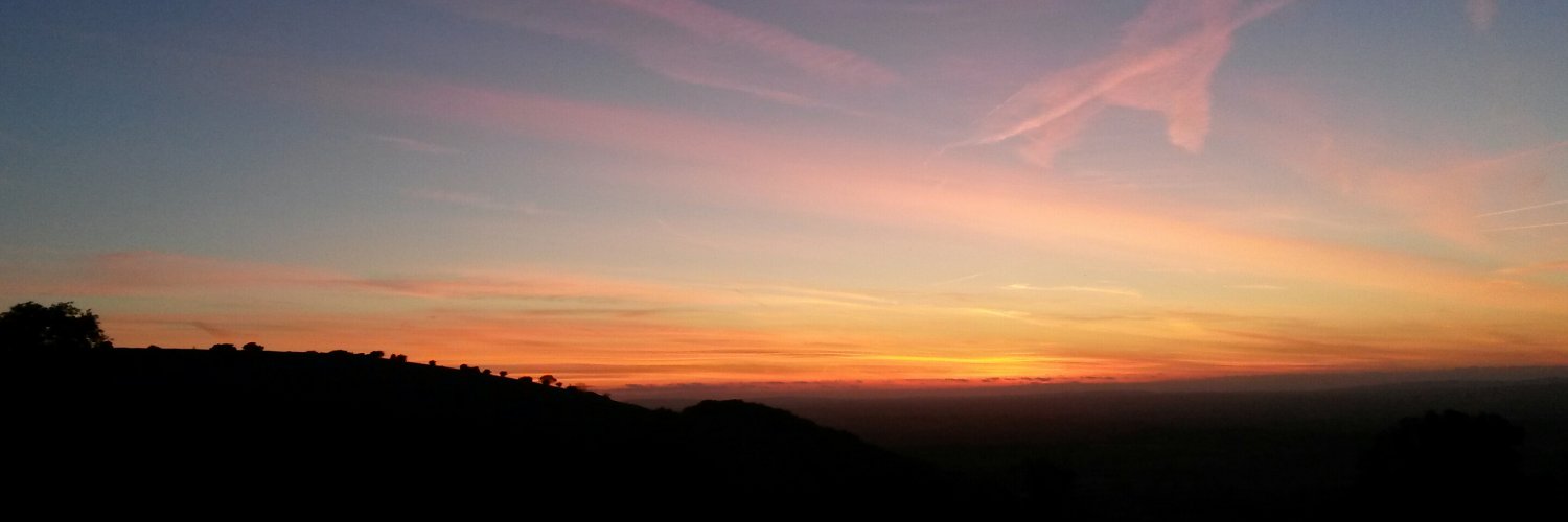 MindyWilliamson's profile banner image