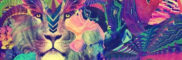 BiancaMotto's profile banner image