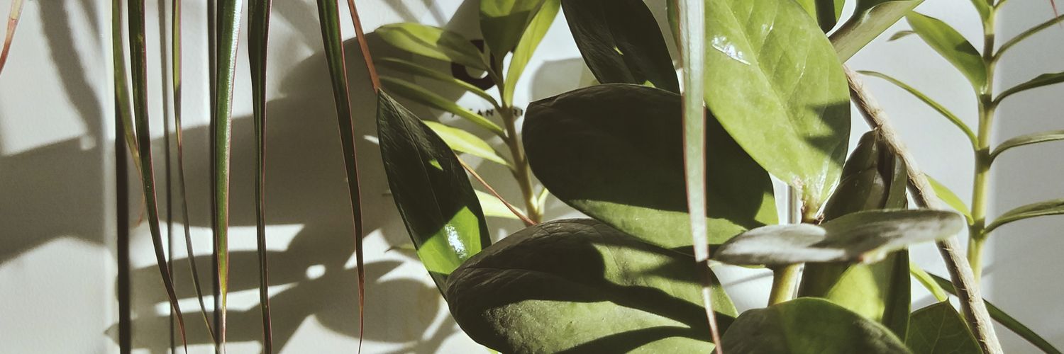Pujattt's profile banner image