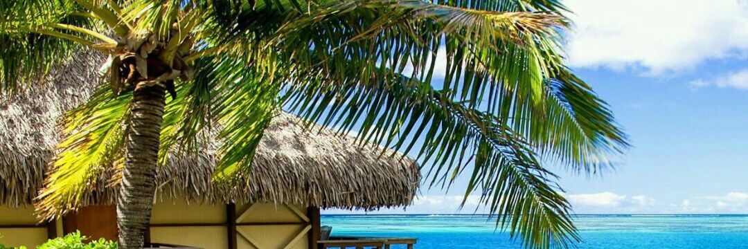 Ⓜatheus 🥂 banner
