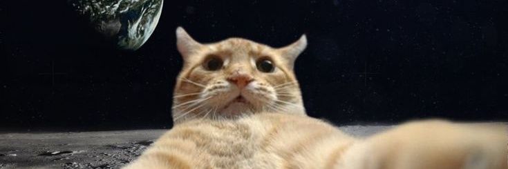 Mooreb24's profile banner image