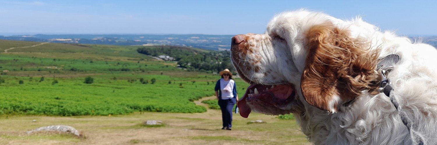 Guy Cuthbertson banner