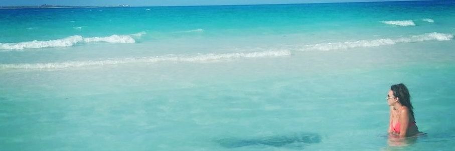 FlorMarianetti's profile banner image