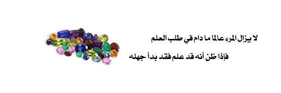 NasserBulushi's profile banner image