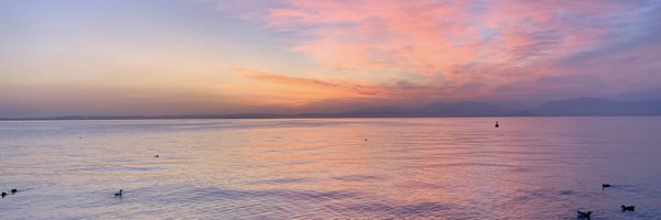 drmamoun01 Profile Banner