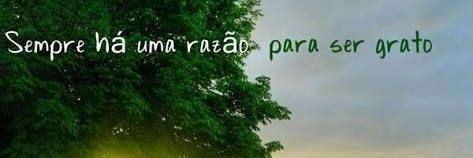 VeronicaJGo's profile banner image