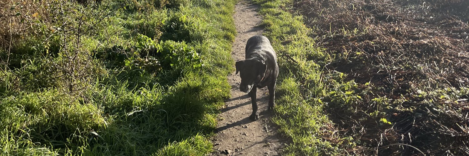 Kelly Campbell-Staines banner
