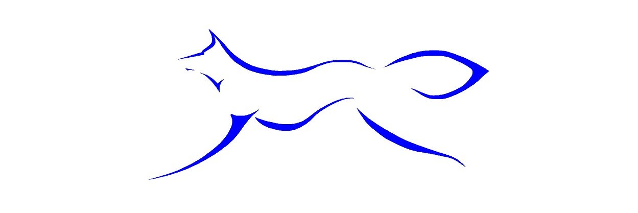 BlueFoxVA's profile banner image