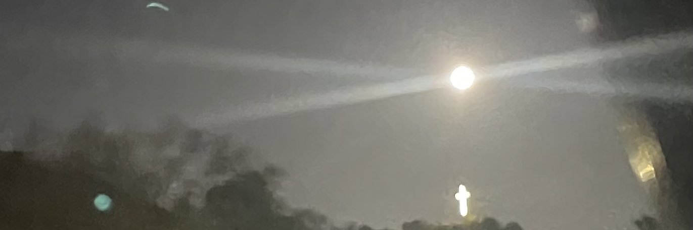 coldxmamii's profile banner image