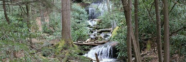 dwrightmor Profile Banner