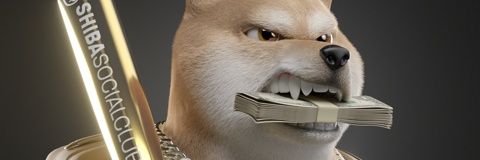 NilsSchouterden's profile banner image