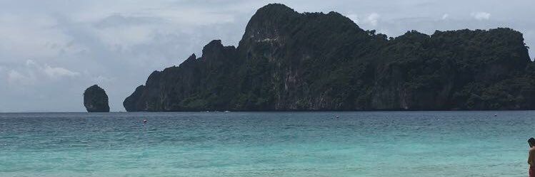 dom banner