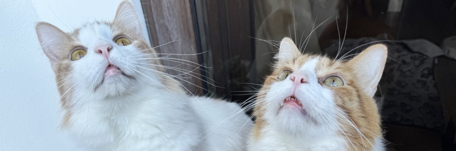 marchpm's profile banner image