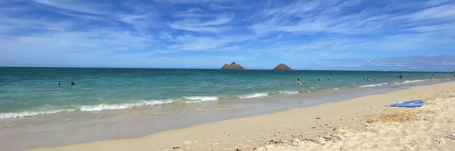 Mili Villalobos banner