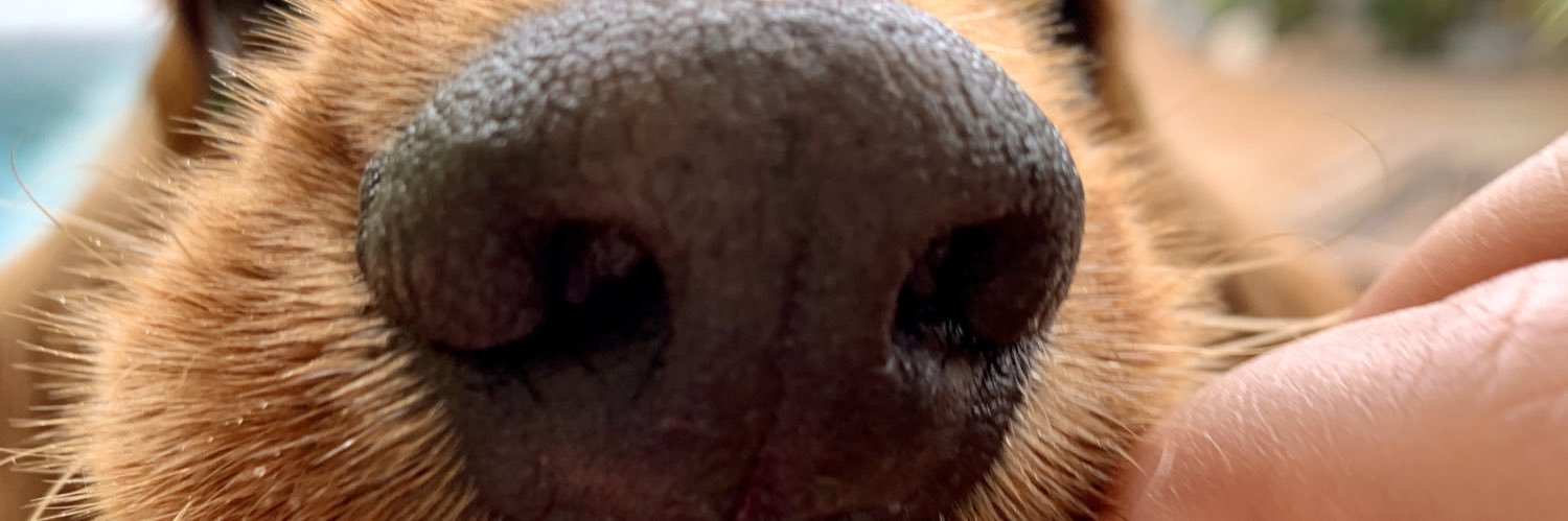 CADB_03's profile banner image