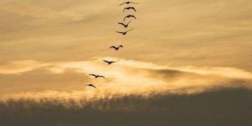 ercan_melike's profile banner image