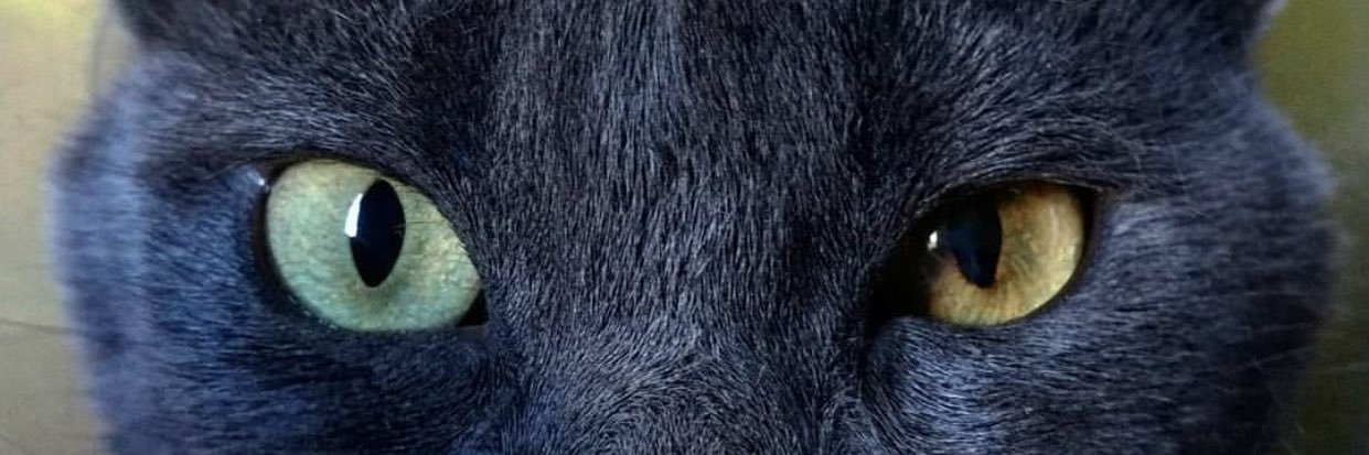 daanielacch's profile banner image